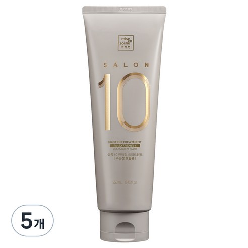 미쟝센 살롱 10 헤어트리트먼트 극손상모발용, 250ml, 5개