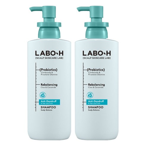라보에이치 댄드 러프 클리닉 비듬 두피 각질 케어 약산성 기능성샴푸, 2개, 400ml