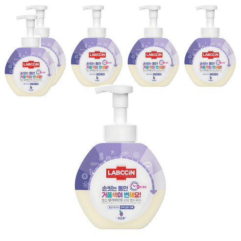 랩신 컬러체인징 포밍 핸드워시 포도향, 500ml, 6개