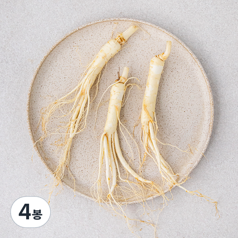 곧게 뻗은 금산 세척 수삼, 60g, 4봉