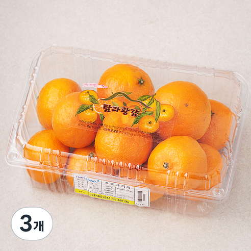 탐라황감 고당도 카라향, 1.2kg, 3개