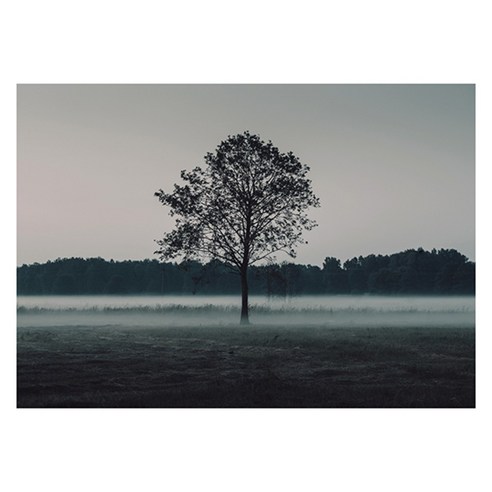 북유럽 스타일 인테리어액자 (A1), art no. 0257