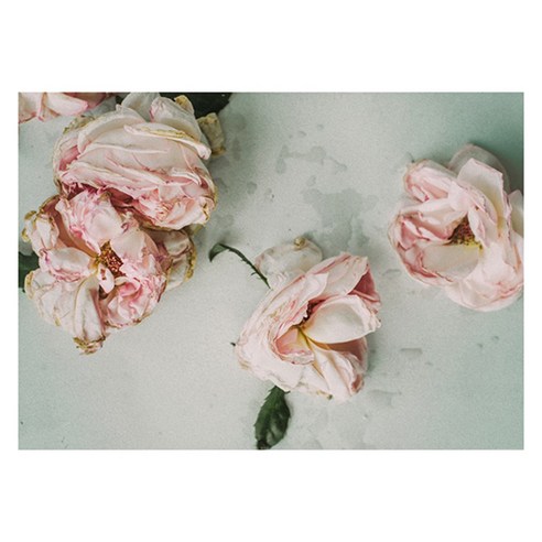 북유럽 스타일 인테리어액자 (A1), art no. 0147