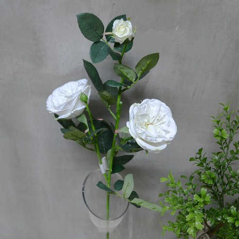 플라워마트 75cm 장미가지 SC19116, 화이트
