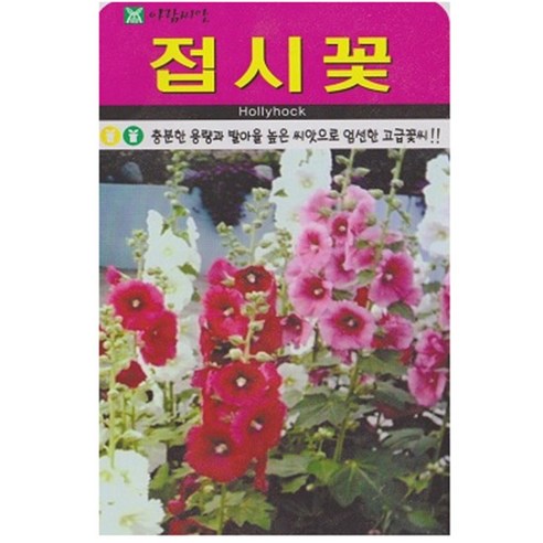저스틴앤클로이 접시꽃100립 고급꽃씨, 3개
