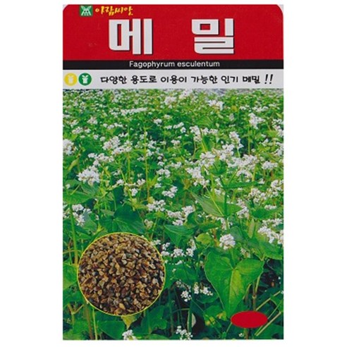저스틴앤클로이 메밀30g 고급꽃씨, 3개