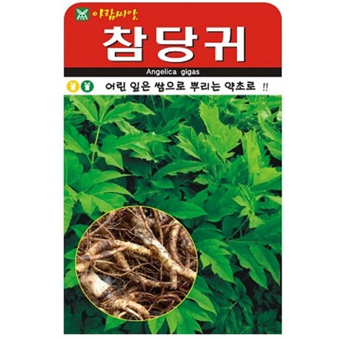 저스틴앤클로이 참당귀200립 약초종자, 2개