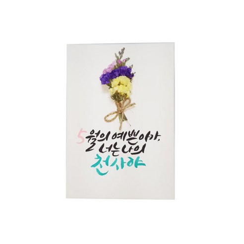 다예 baby 5월탄생 드라이플라워, 1개