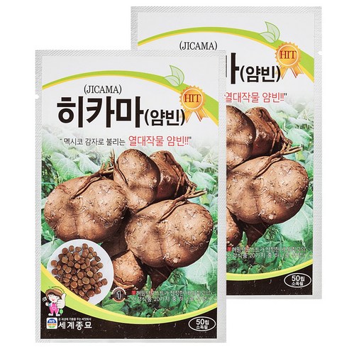 세계종묘 히카마 50립, 2개