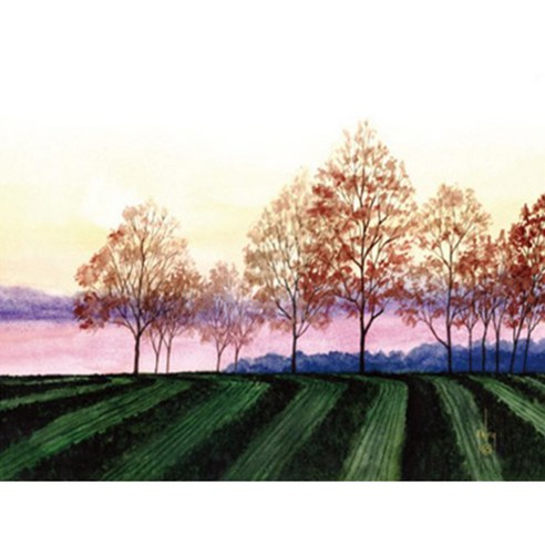 월니크 내외부용 (380x260mm)+(380x70mm) 노트북보호스킨, QLS-002, 1개