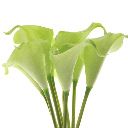 리버그린 카라 조화부쉬, 그린