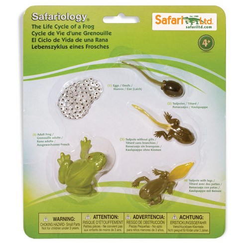 사파리엘티디 피규어 269129 개구리성장과정 Life Cycle of a Frog, 1개