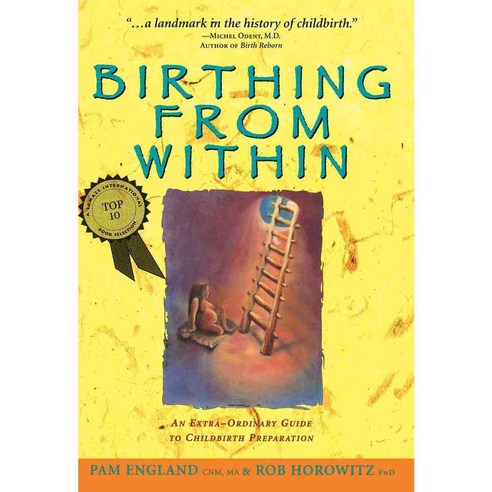 [해외도서] Birthing from Within, Partera Pr