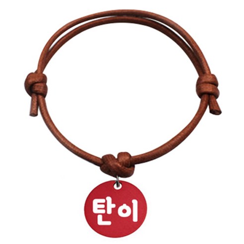 펫츠룩 굿모닝 카라멜 반려동물 목걸이 S 알미늄원형 팬던트 M, 레드(탄이), 1개