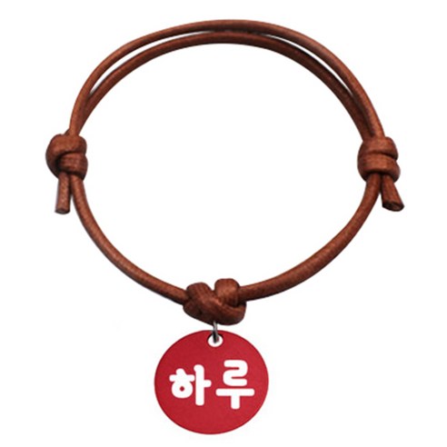 펫츠룩 굿모닝 카라멜 반려동물 목걸이 S 알미늄원형 팬던트 M, 레드(하루), 1개