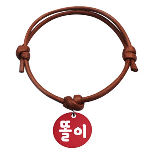펫츠룩 굿모닝 카라멜 반려동물 목걸이 S 알미늄원형 팬던트 M, 레드(똘이), 1개