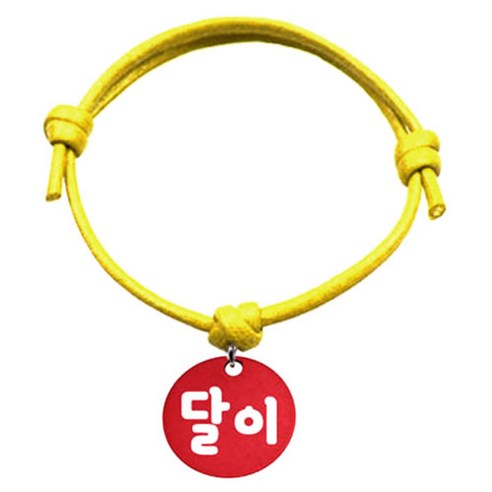 펫츠룩 굿모닝 옐로 반려동물 목걸이 S 알미늄원형 팬던트 S, 레드(달이), 1개