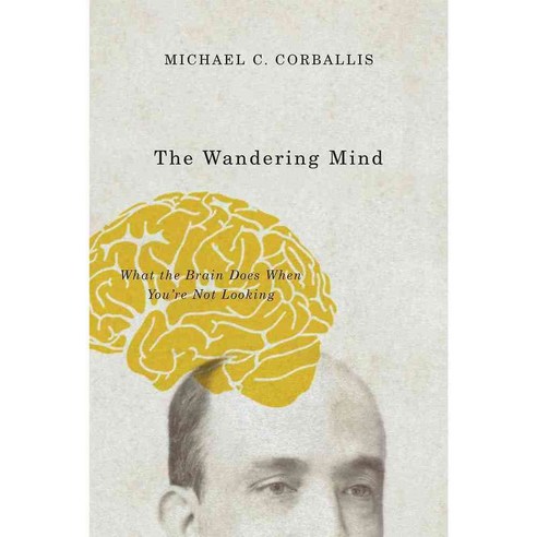 The Wandering Mind: What the Brain Does When You''re Not Looking, Univ of Chicago Pr