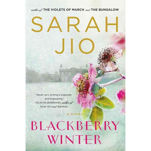 Blackberry Winter: A Novel, Plume