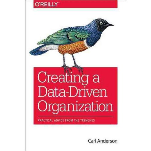 Creating a Data-Driven Organization: Practical Advice from the Trenches, Oreilly & Associates Inc