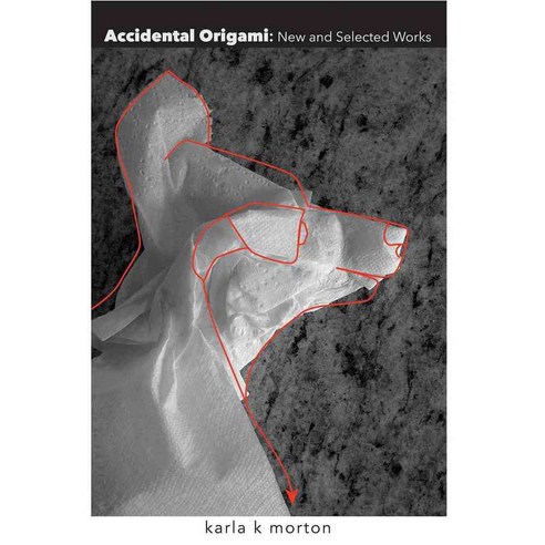 Accidental Origami: New and Selected Poems, Texas Review Pr