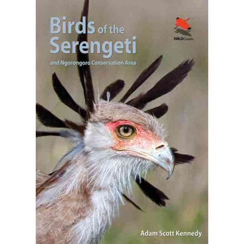 Birds of the Serengeti and Ngorongoro Conservation Area, Wildguides