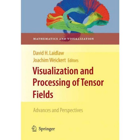 Visualization and Processing of Tensor Fields: Advances and Perspectives, Springer Verlag