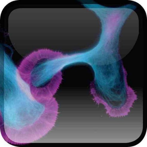 The Neuron: Cell and Molecular Biology, Oxford Univ Pr