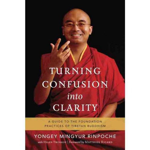 Turning Confusion into Clarity: A Guide to the Foundation Practices of Tibetan Buddhism, Snow Lion Pubns