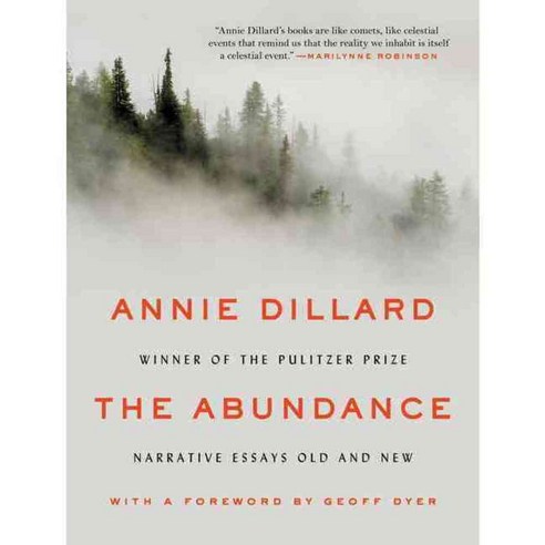 The Abundance: Narrative Essays Old and New 페이퍼북, Ecco Pr