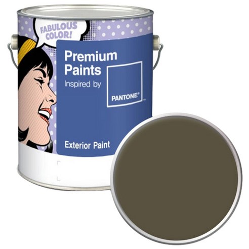 노루페인트 팬톤 외부용 실외 저광 페인트 4L, 19-0622 Military Olive