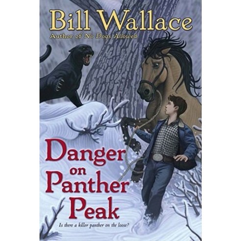 Danger on Panther Peak Paperback, Aladdin Paperbacks