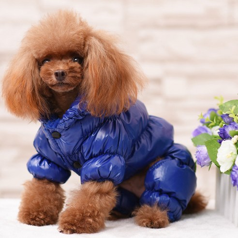 펫코디 강아지 볼록볼록 패딩, B