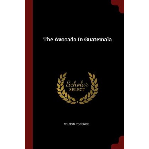 The Avocado in Guatemala Paperback, Andesite Press