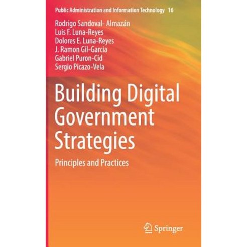 Building Digital Government Strategies: Principles and Practices Hardcover, Springer