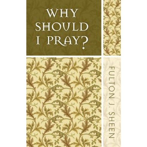 Why Should I Pray? Paperback, Liguori Publications