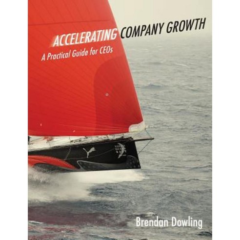 Accelerating Company Growth: A Practical Guide for Ceos Paperback, Oak Tree Press