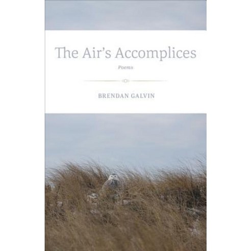 The Air''s Accomplices: Poems Paperback, LSU Press
