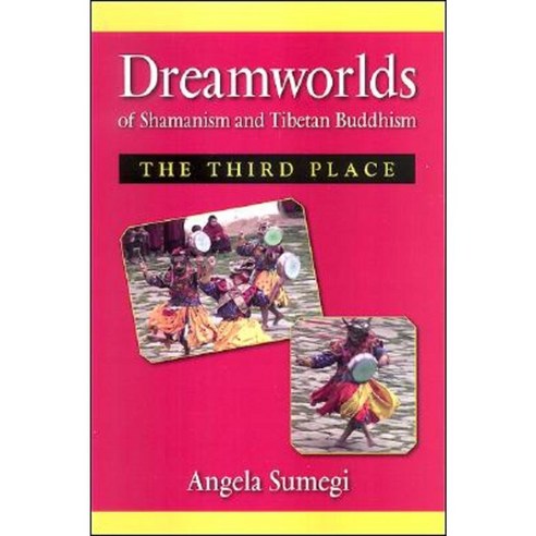 Dreamworlds of Shamanism and Tibetan Buddhism: The Third Place Hardcover, State University of New York Press