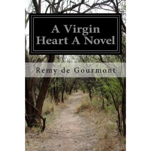 A Virgin Heart a Novel Paperback, Createspace Independent Publishing Platform