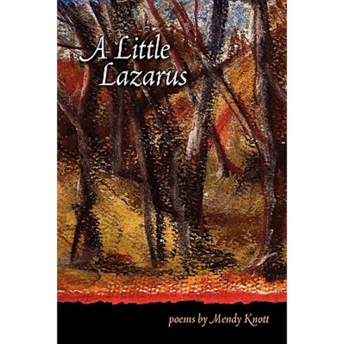 A Little Lazarus Paperback, Half Acre Press