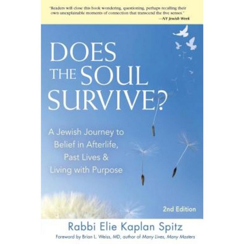 Does the Soul Survive? (2nd Edition): A Jewish Journey to Belief in Afterlife Past Lives & Living with Purpose Hardcover, Jewish Lights Publishing