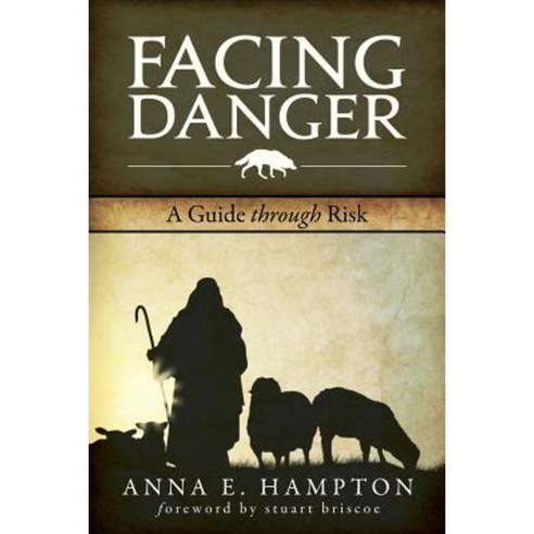 Facing Danger: A Guide Through Risk Paperback, Zendagi Press