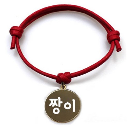 펫츠룩 굿모닝 레드 반려동물 목걸이 S + 메탈원형 팬던트 M, 골드(짱이), 1개