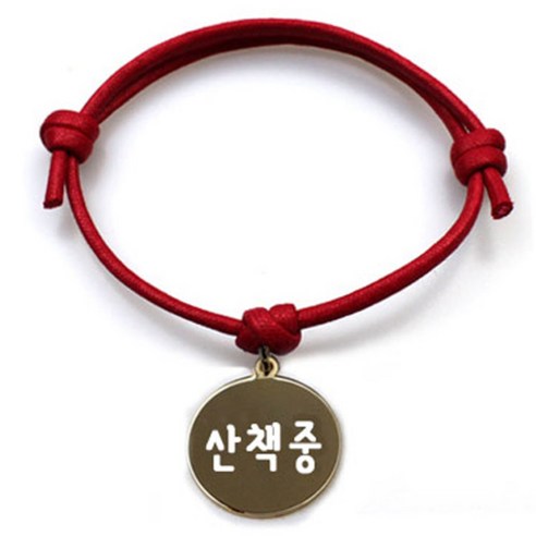 펫츠룩 굿모닝 레드 반려동물 목걸이 S + 메탈원형 팬던트 M, 골드(산책중), 1개