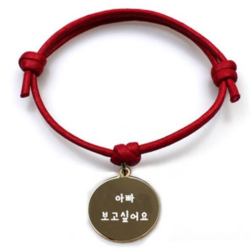 펫츠룩 굿모닝 레드 반려동물 목걸이 S + 메탈원형 팬던트 M, 골드(아빠보고싶어요), 1개