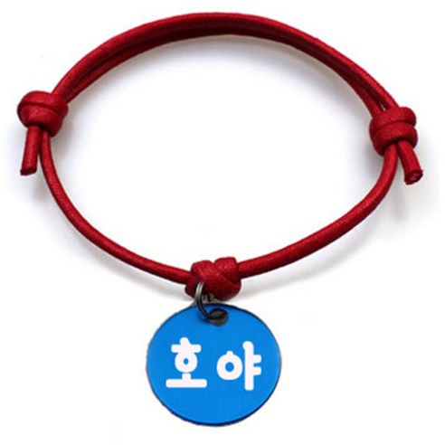 펫츠룩 굿모닝 레드 반려동물 목걸이 S + 알미늄 원형 팬던트 M, 블루(호야), 1개