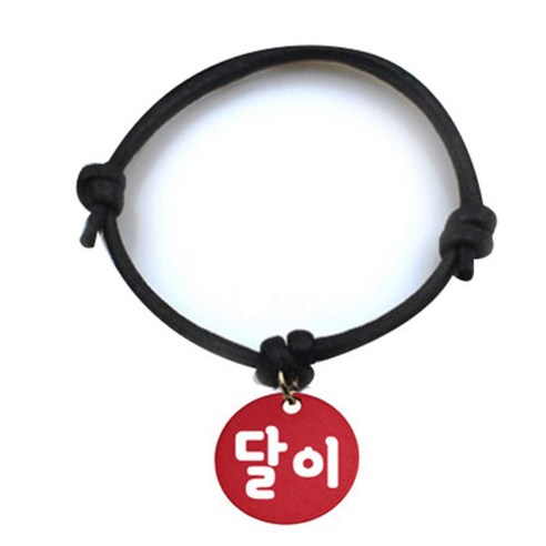 펫츠룩 굿모닝 블랙 반려동물 목걸이 S + 알미늄원형 팬던트 M, 레드(달이), 1개