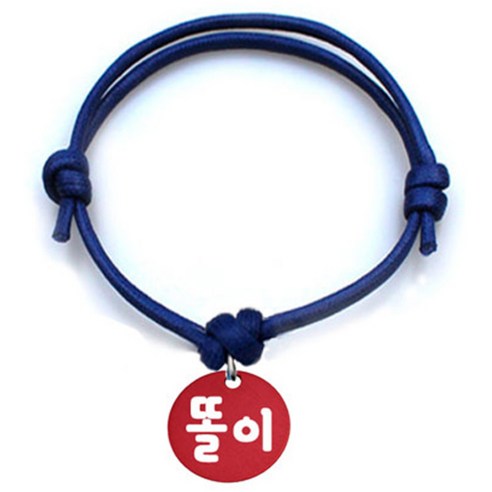 펫츠룩 굿모닝 블루 반려동물 목걸이 S + 알미늄원형 팬던트 M, 레드(똘이), 1개