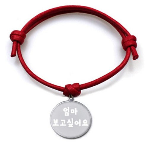 펫츠룩 굿모닝 레드 반려동물 목걸이 M + 메탈원형 팬던트 M, 실버(엄마보고싶어요), 1개